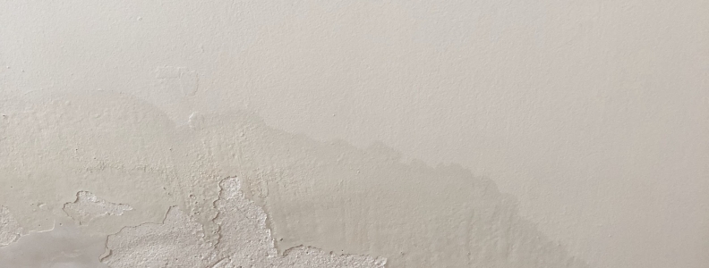 Vochtproblemen Oplossen: Tips en Adviezen voor een Droge Woning